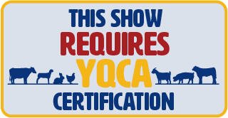 Youth for the Quality Care of Animals (YQCA)
